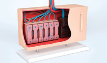 如何轰炸对方手机号